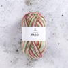 Järbo Junior Raggi 100g